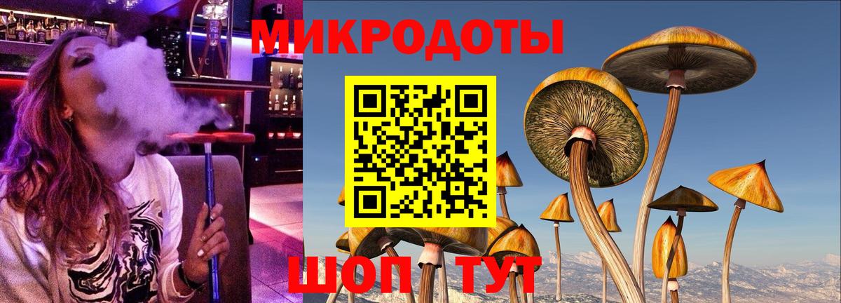 Псилоцибиновые грибы мицелий Пугачёв