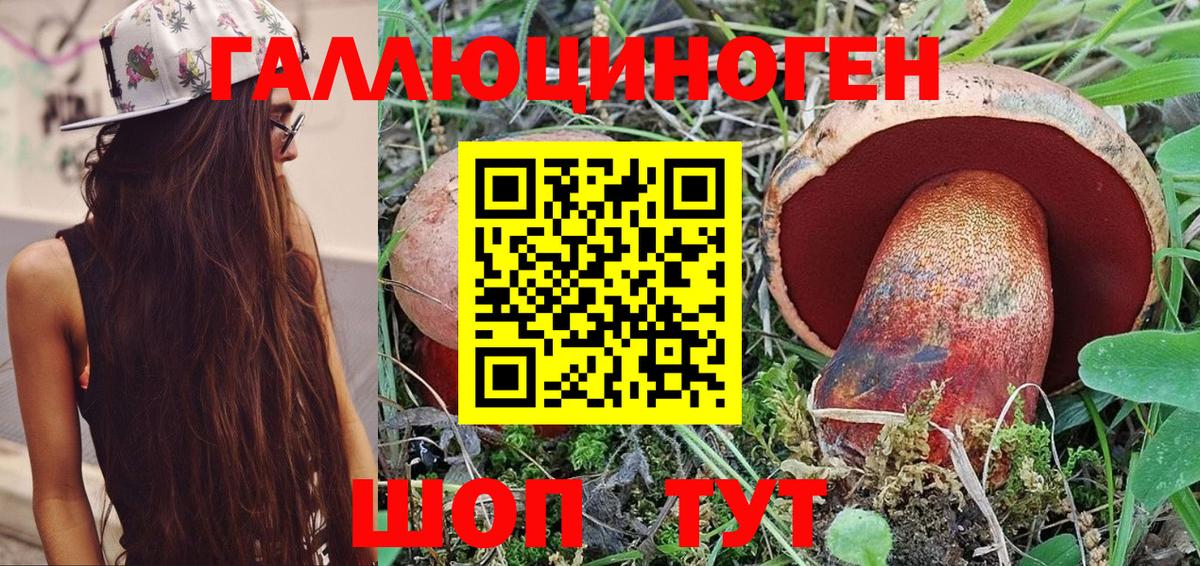 продажа наркотиков  Псилоцибиновые грибы прущие грибы  Пугачёв  Вход с VPN  Псилоцибиновые грибы ЛСД 